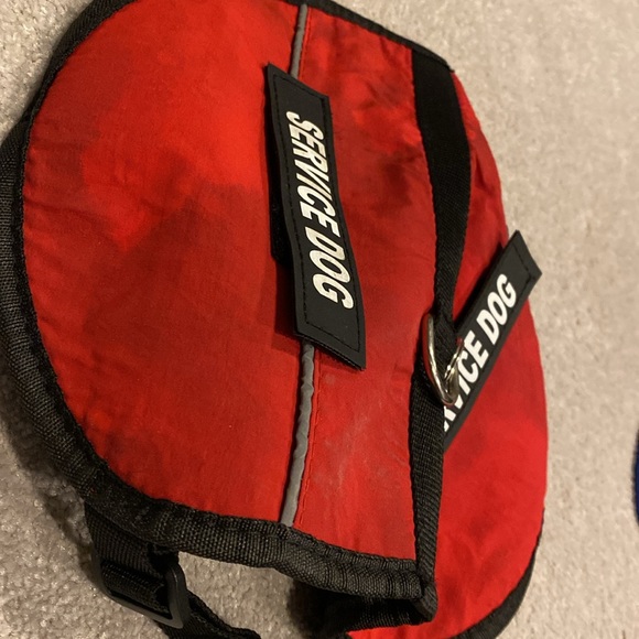 ‼️SERVICE DOG‼️ - Picture 5 of 5